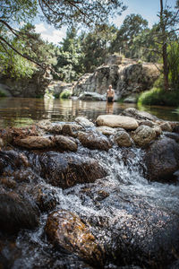 Stream flowing through rocks in forest