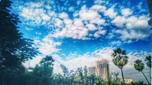 Low angle view of trees against cloudy sky