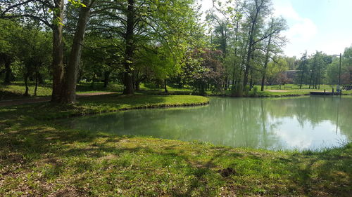 Scenic view of lake by trees against sky