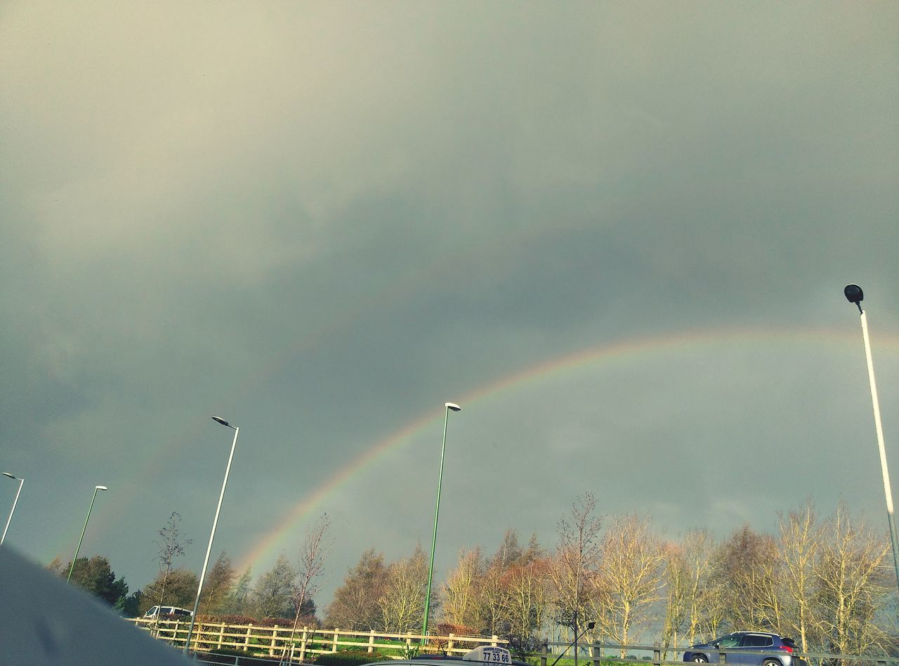 sky, rainbow, tree, cloud - sky, nature, plant, street, street light, no people, low angle view, transportation, mode of transportation, beauty in nature, day, car, road, motor vehicle, lighting equipment, outdoors