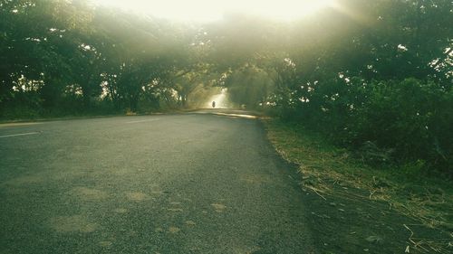 Road amidst trees