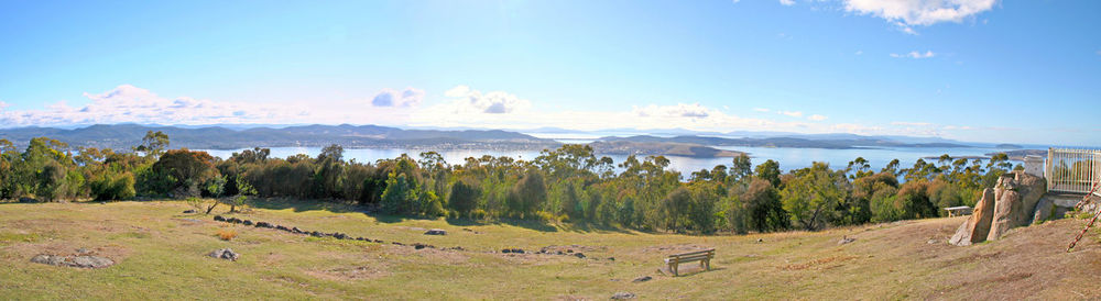 Panoramic shot of trees on beach against blue sky