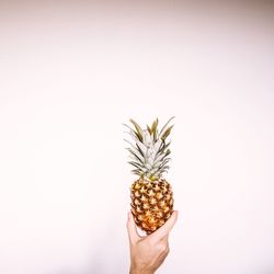 Cropped hand holding pineapple against white background