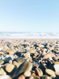 Detail of the shingles of a shingle beach, with the sea in the background, blank space on top