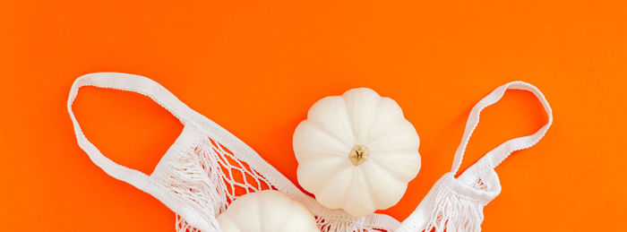 Close-up of orange flower over white background