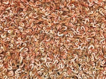 Full frame shot of shrimps drying outdoors