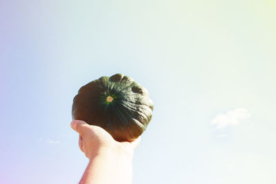 Cropped hand holding vegetable slice against blue sky