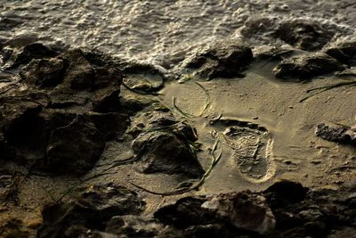 High angle view of footprints on sand