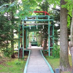 Walkway amidst trees in forest