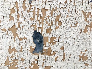 Full frame shot of weathered peeling paint wall