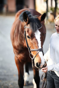 Close-up of horse standing outdoors