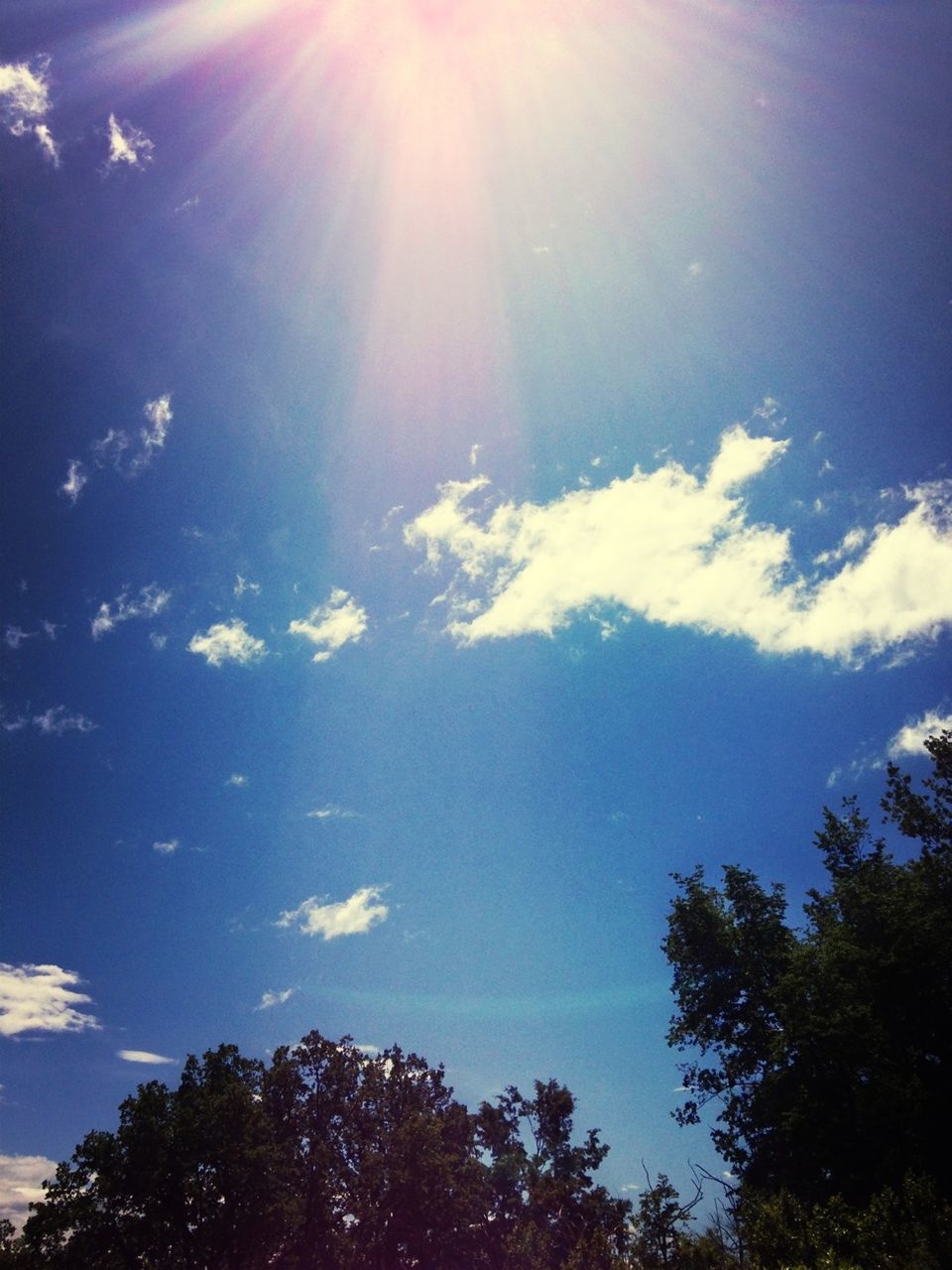 low angle view, tree, sun, sunbeam, sunlight, sky, beauty in nature, blue, tranquility, lens flare, nature, scenics, growth, tranquil scene, sunny, bright, day, cloud - sky, silhouette, idyllic