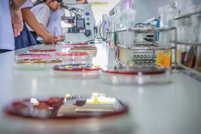 People working on table