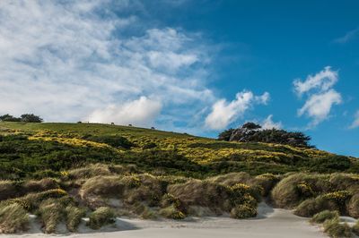 Scenic view of green landscape against sky