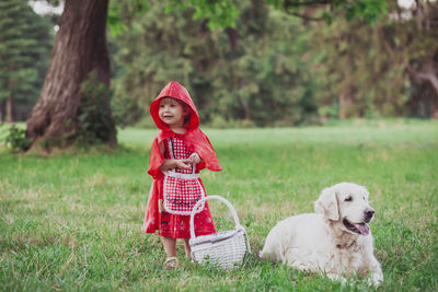 Charming baby in a red riding hood costume and golden retriever instead of a wolf