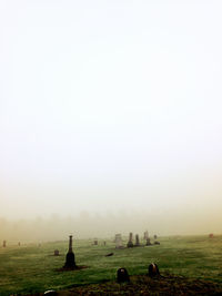 Graves in the mist