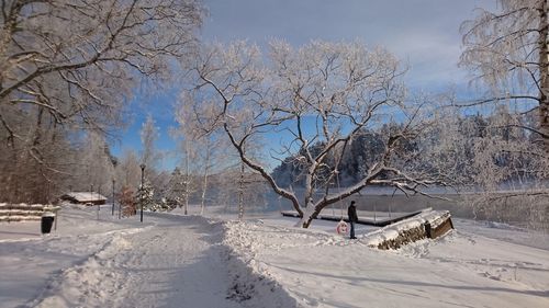 Man standing on snow by bare trees in park