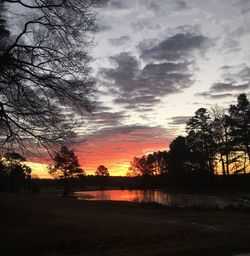 Silhouette trees against dramatic sky during sunset