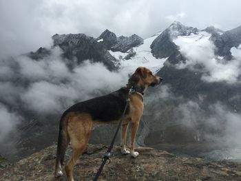 Silhouette of man looking at mountains