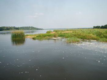 Reflection of trees in lake