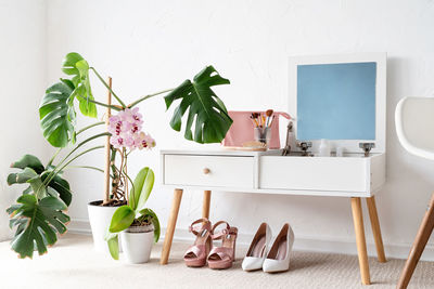 Potted plant on table