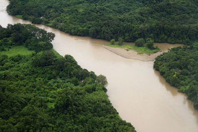 High angle view of river amidst trees in forest