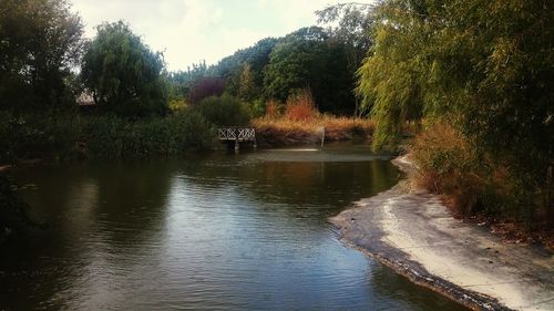 Scenic view of lake in forest against sky