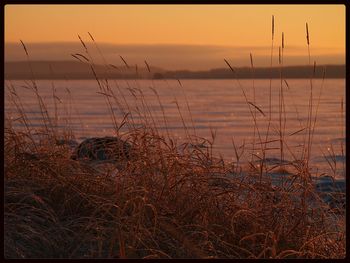 Scenic view of sea at sunset