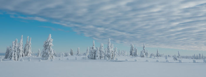 Panoramic view of snow covered field against sky