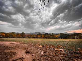 Scenic view of field against sky