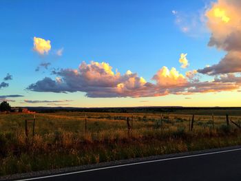 Scenic view of field against clear sky