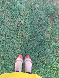 Low section of woman standing on grass