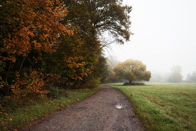 Road amidst trees on field against clear sky during autumn