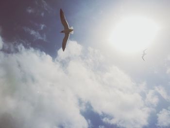 Low angle view of airplane flying in sky