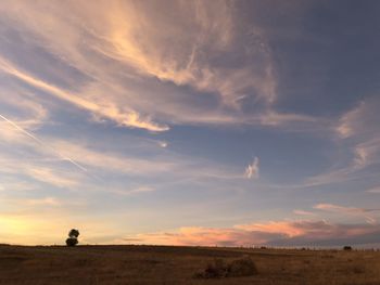 Silhouette person standing on field against sky during sunset