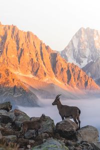 View of a rock on mountain