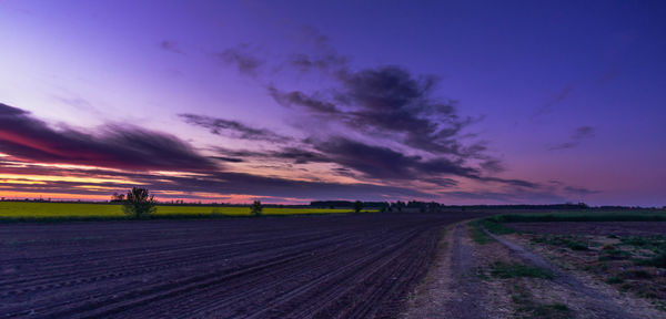 Scenic view of field against sky during sunset