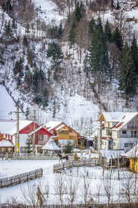Snow covered houses and trees against sky