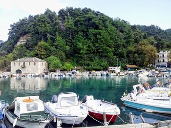 Boats moored at harbor