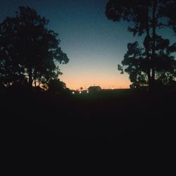 Trees at sunset