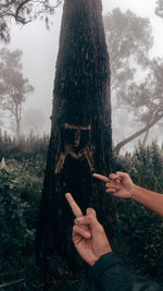 tree