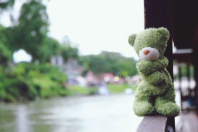 Close-up of stuffed toy on tree