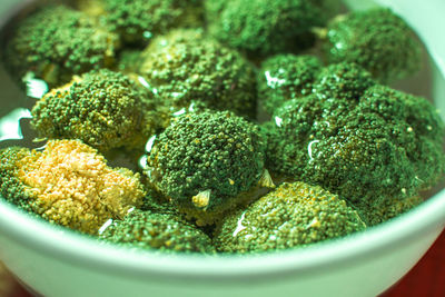 Close-up of broccoli group