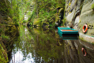 Boats moored on lake by trees