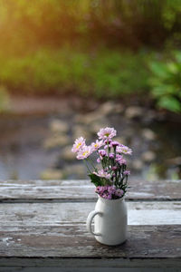 Close-up of flower pot on table