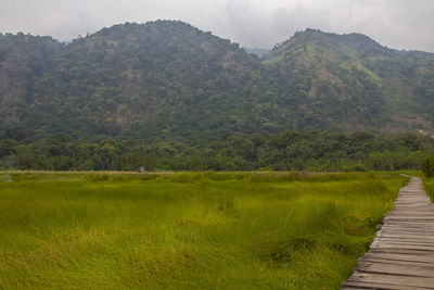 environment