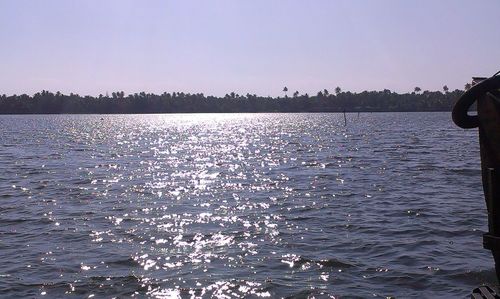 Birds perching on shore against clear sky