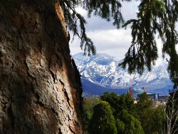 Scenic view of trees and mountains against sky