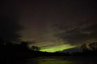 Silhouette trees against sky at night