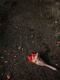 High angle view of woman lying on ground